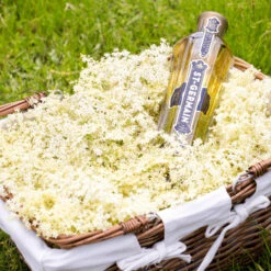 Liqueur De Sureau St-Germain 50cl 20°