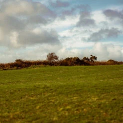 Waterford Lacken Édition 1.1 70 Cl 50° 5 Waterford Lacken Édition 1.1 70 Cl 50° -Boissons Alcoolisées waterford lacken edition 11 2