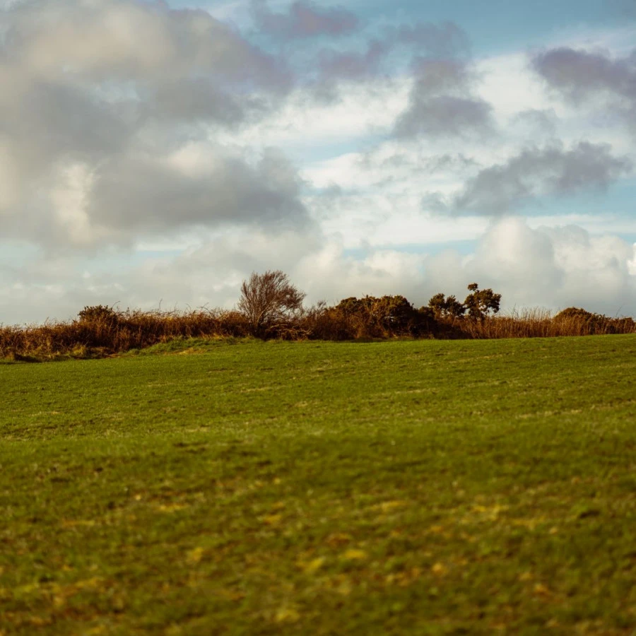 Waterford Lacken Édition 1.1 70 Cl 50° 3 Waterford Lacken Édition 1.1 70 Cl 50° – Image 3